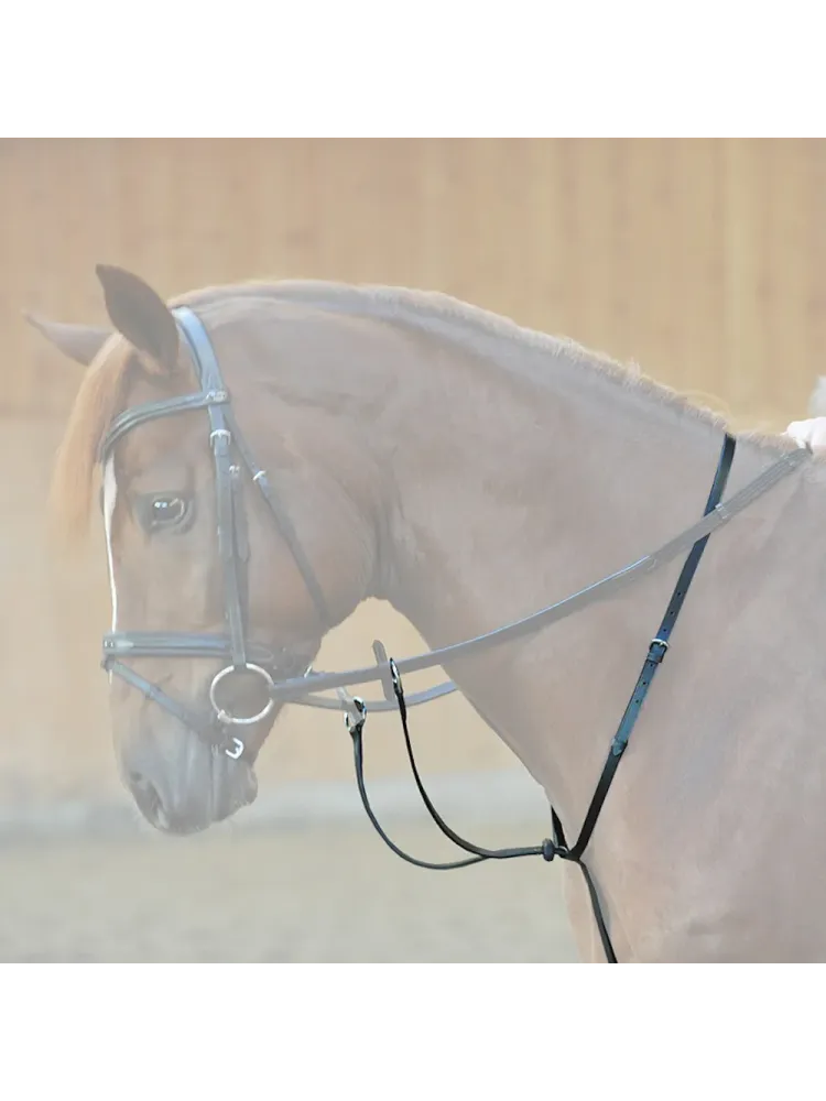 Martingal Ecoline Kavalkade