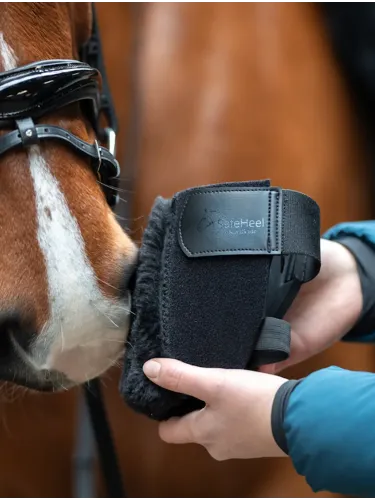 Kannapehmendus SafeHeel Kavalkade