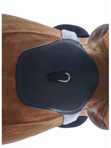 Klapiga sadulavöö Soft'n'Safe Elastic Kavalkade