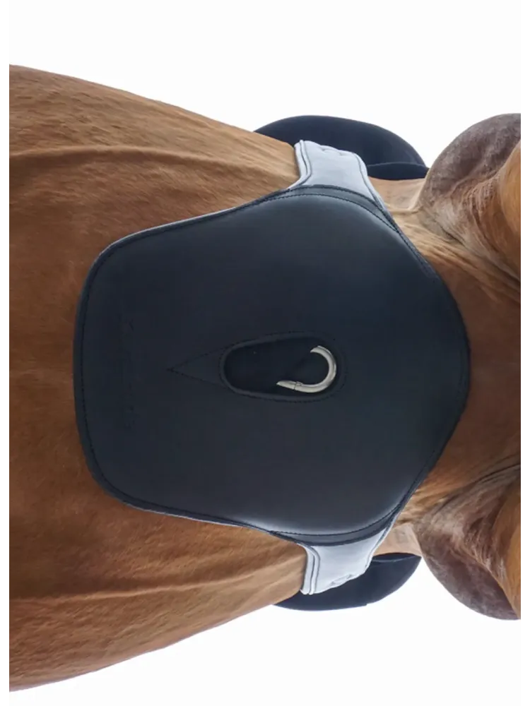 Klapiga sadulavöö Soft'n'Safe Elastic Kavalkade