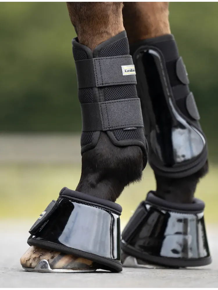 Kalossid Star Kavalkade