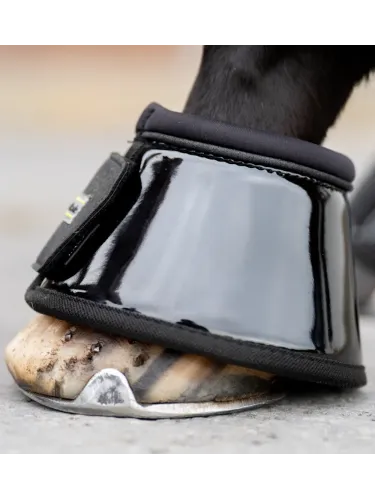 Kalossid Star Kavalkade