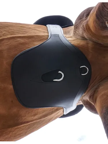 Klapiga sadulavöö Standard Elastic Kavalkade