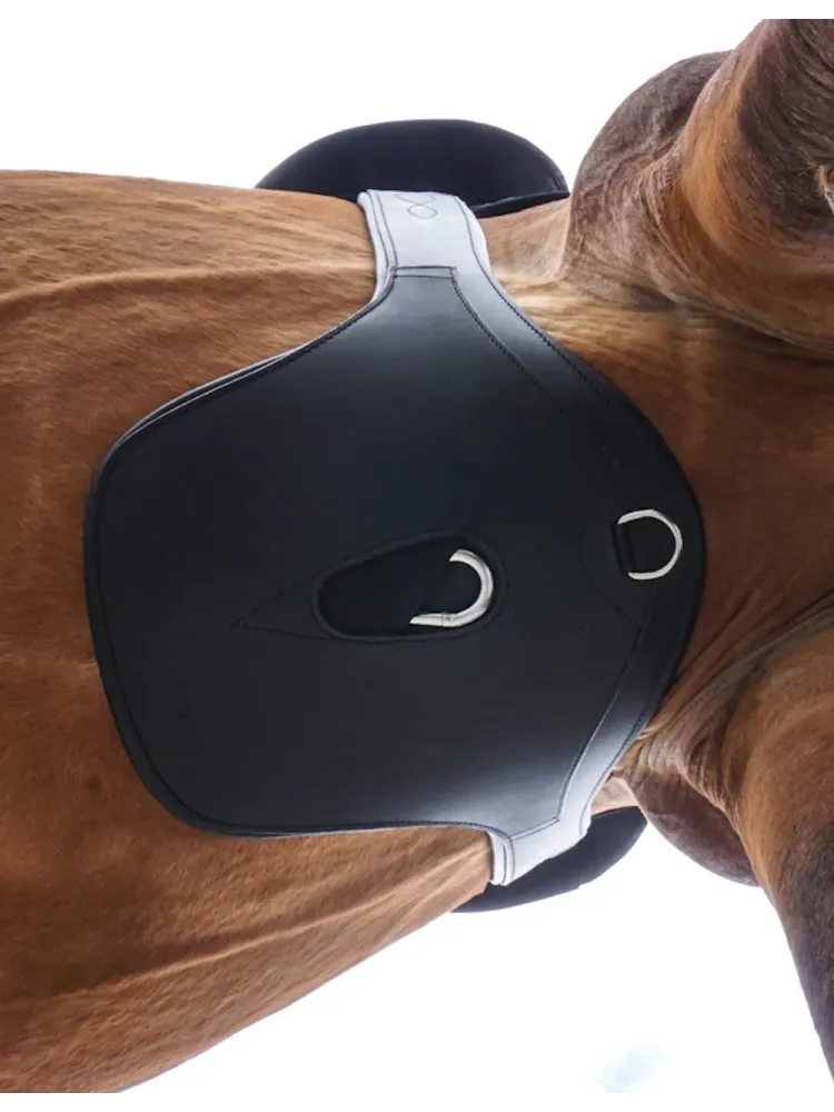 Klapiga sadulavöö Standard Elastic Kavalkade