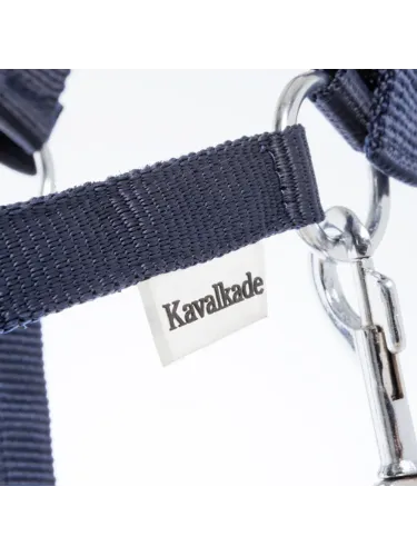 Päitsed Shetty Shorty Kavalkade