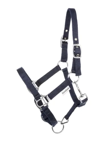 Päitsed Shetty Shorty Kavalkade