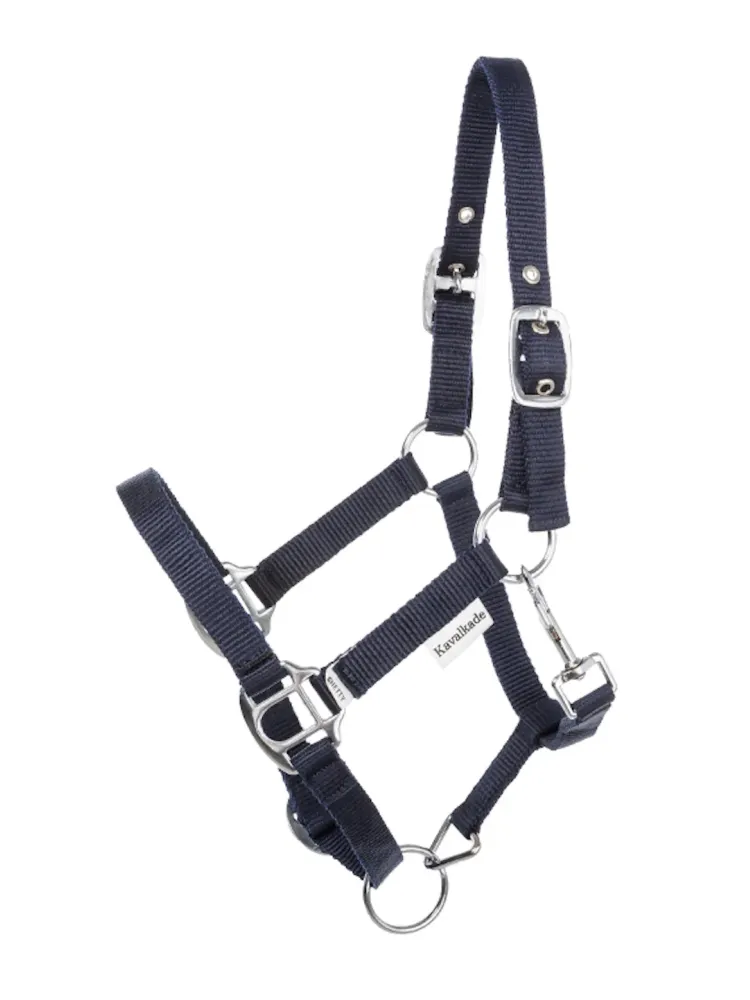 Päitsed Shetty Shorty Kavalkade