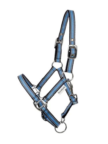 Päitsed Shetty Shorty Kavalkade