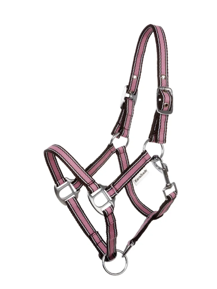 Päitsed Shetty Shorty Kavalkade