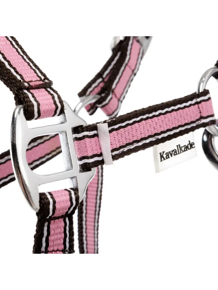 Päitsed Shetty Shorty Kavalkade