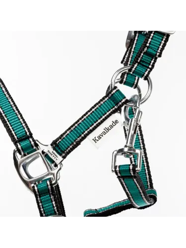 Päitsed Shetty Shorty Kavalkade