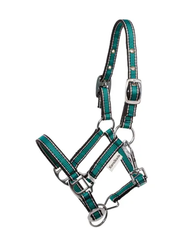 Päitsed Shetty Shorty Kavalkade