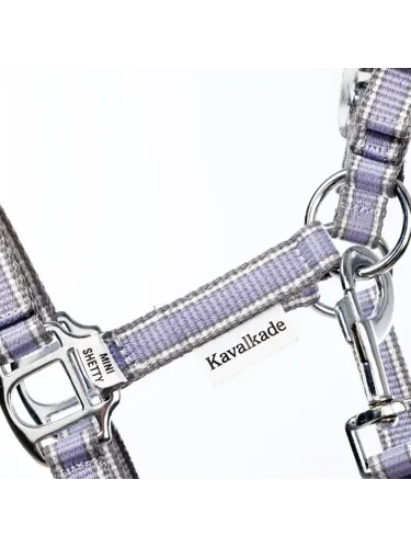 Päitsed Shetty Shorty Kavalkade