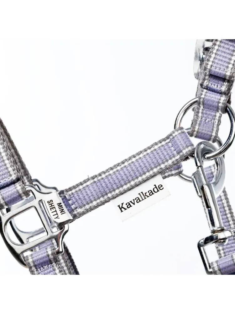 Päitsed Shetty Shorty Kavalkade