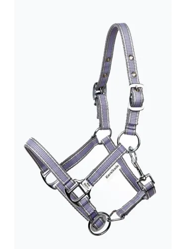 Päitsed Shetty Shorty Kavalkade