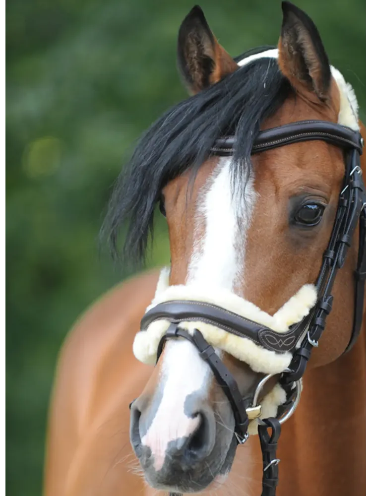 Valjad Ivy Lambskin Kavalkade