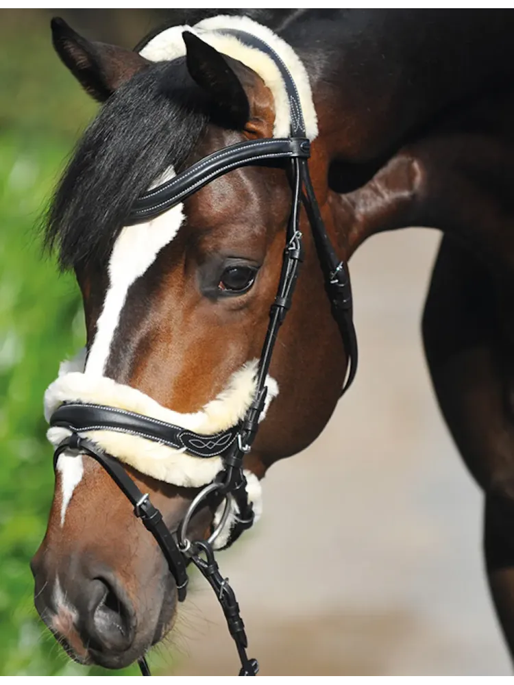 Valjad Ivy Lambskin Kavalkade