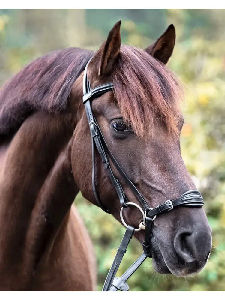 Valjad Levana Kavalkade