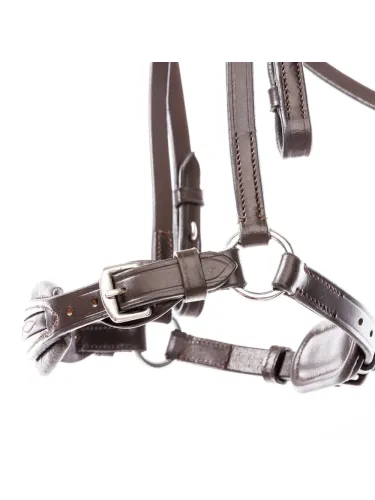 Valjad Levana Kavalkade