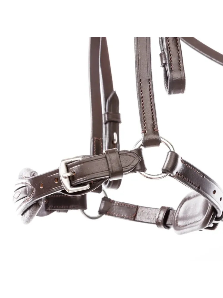 Valjad Levana Kavalkade