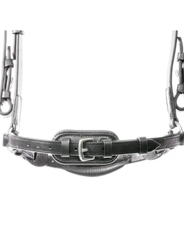 Valjad Levana Kavalkade