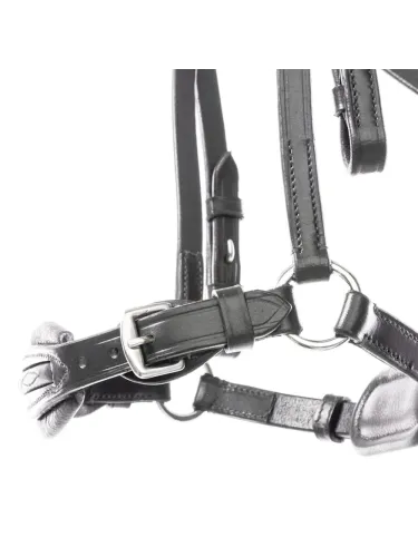 Valjad Levana Kavalkade