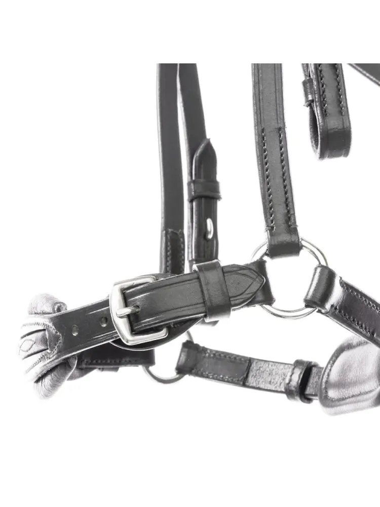 Valjad Levana Kavalkade