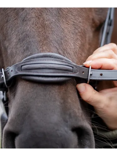 Valjad Levana Kavalkade