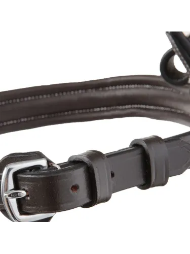 Valjad Akila Hunter Kavalkade