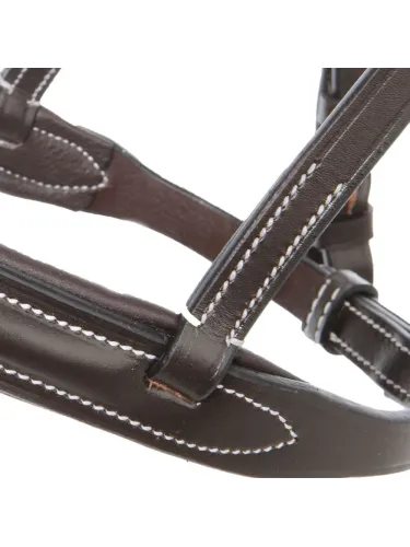 Valjad Akila Hunter Kavalkade