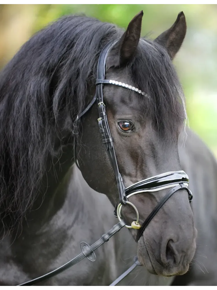 Valjad Juliana Patent Kavalkade