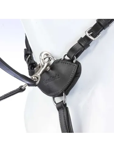 Rinnarihmaga martingal V-Shape Kavalkade