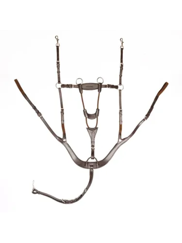 Rinnarihmaga martingal Caya 5 Kavalkade