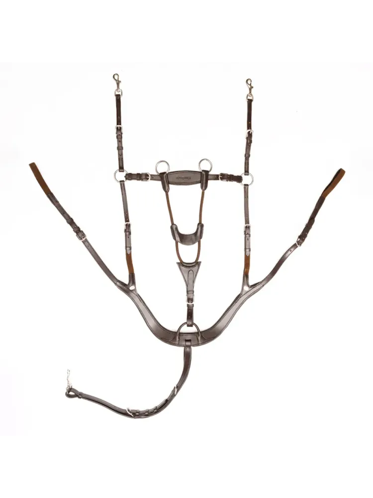 Rinnarihmaga martingal Caya 5 Kavalkade