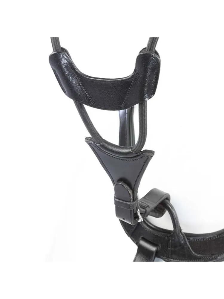 Rinnarihmaga martingal Caya 5 Kavalkade