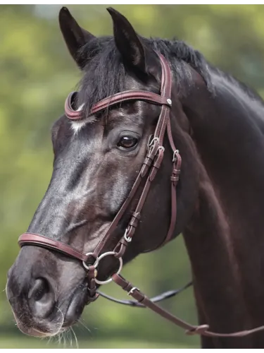 Valjad Everana Hannover Kavalkade