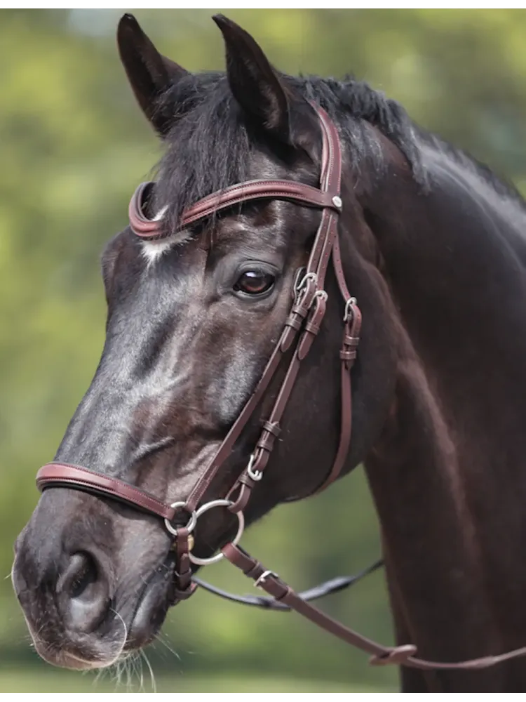 Valjad Everana Hannover Kavalkade