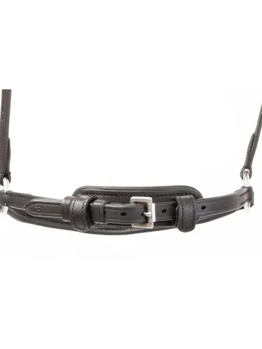 Valjad Everana Hannover Kavalkade