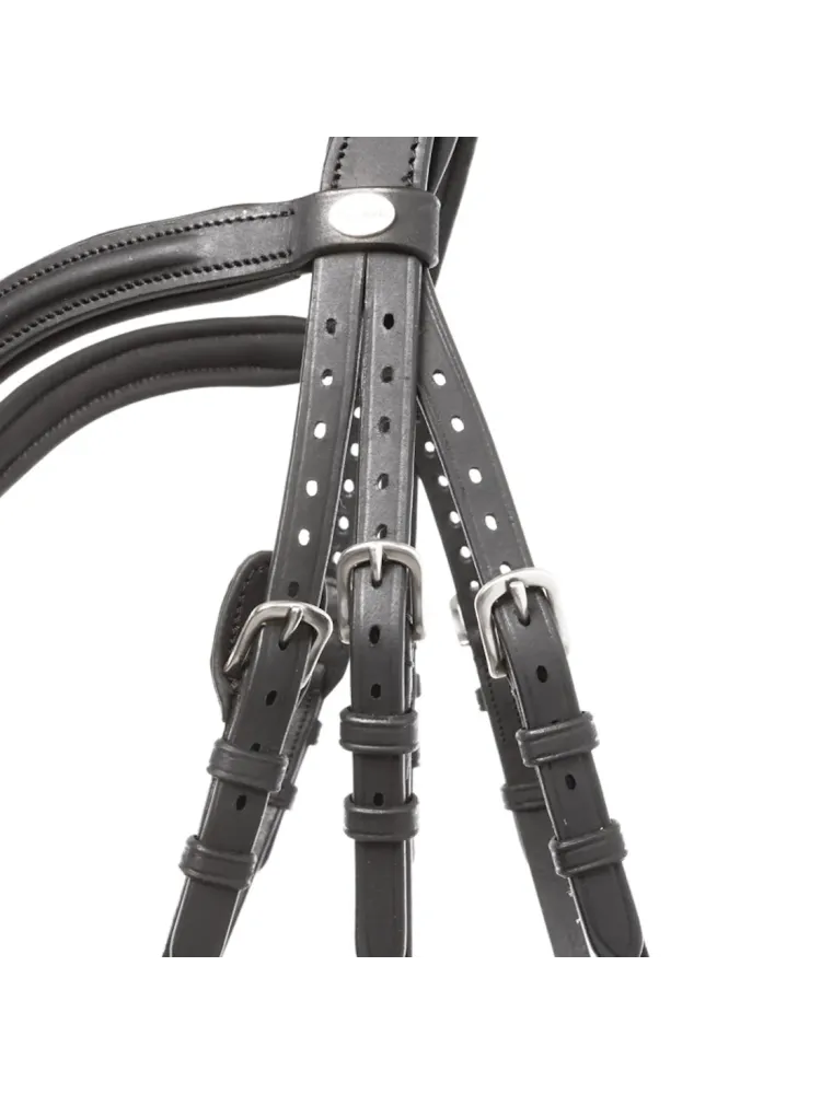 Valjad Everana Hannover Kavalkade