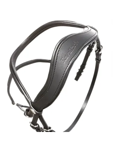 Valjad Everana Hannover Kavalkade