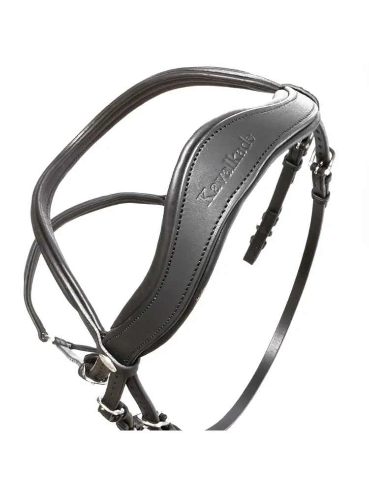 Valjad Everana Hannover Kavalkade