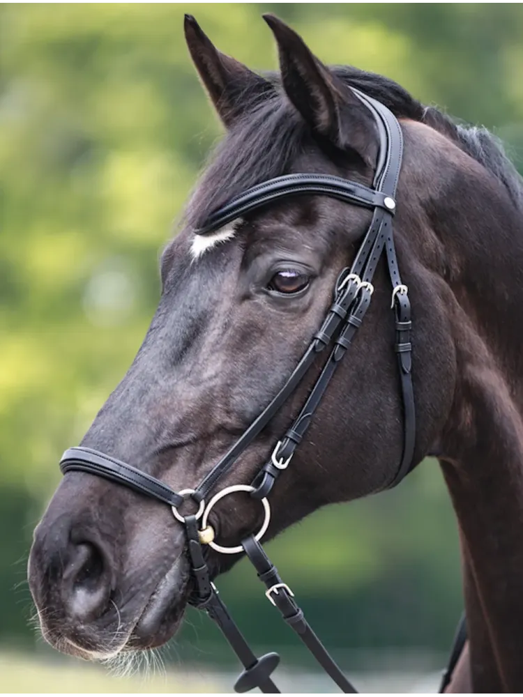 Valjad Everana Hannover Kavalkade