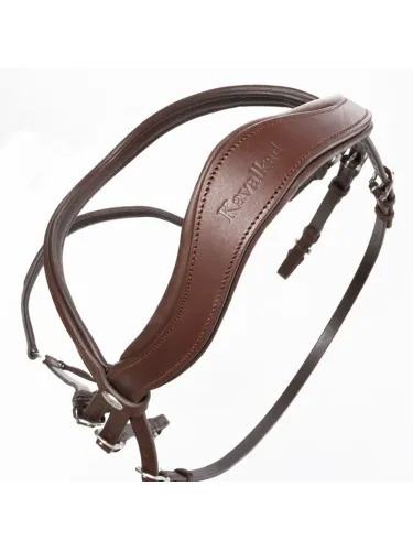 Valjad Everana Hannover Kavalkade