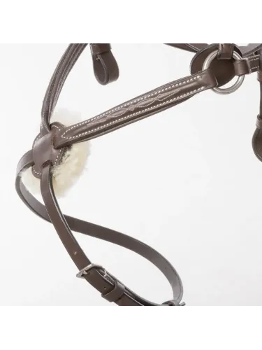 Valjad Diandro Mexican Kavalkade