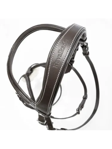 Valjad Diandro Mexican Kavalkade