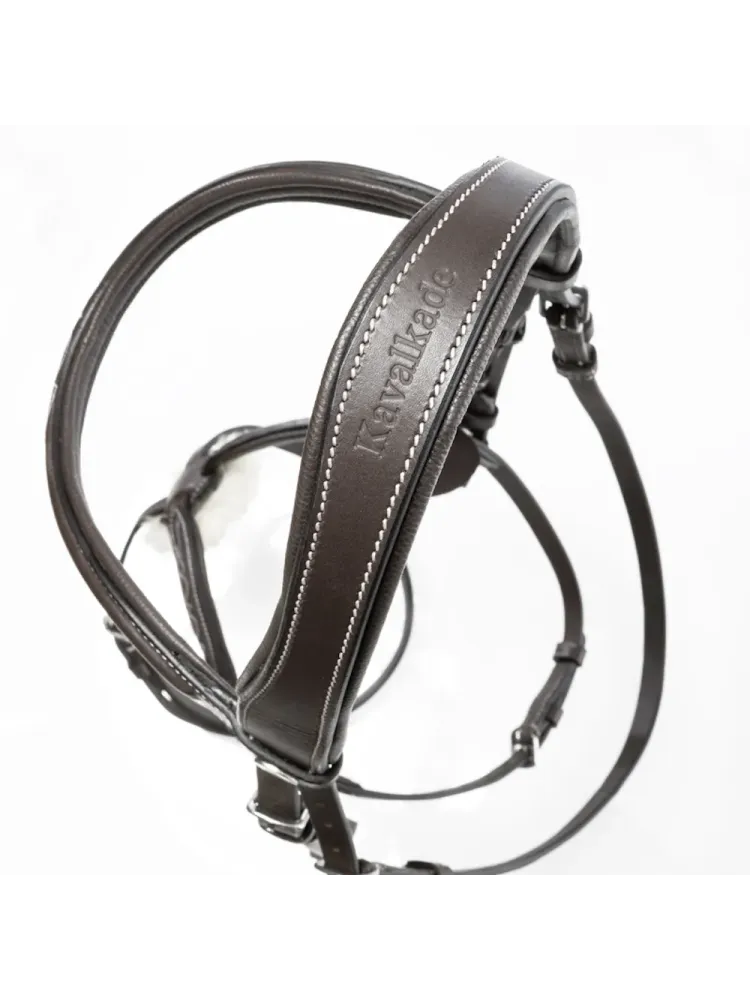 Valjad Diandro Mexican Kavalkade