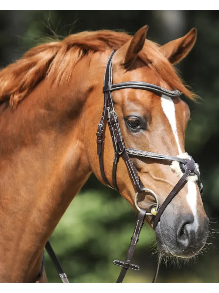 Valjad Diandro Mexican Kavalkade