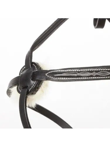 Valjad Diandro Mexican Kavalkade