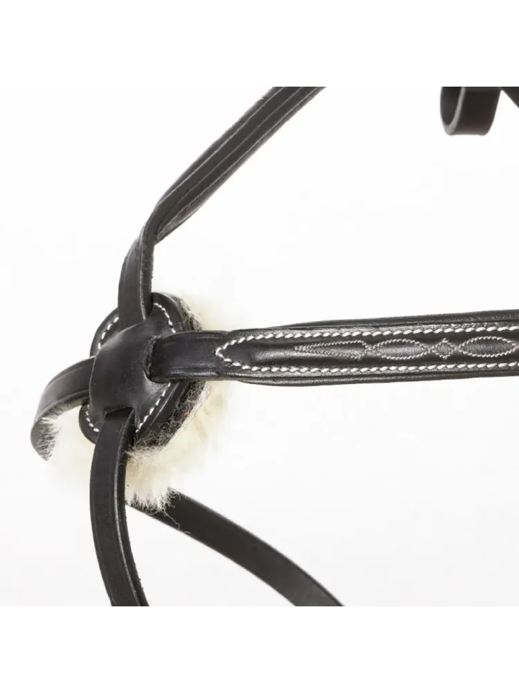 Valjad Diandro Mexican Kavalkade