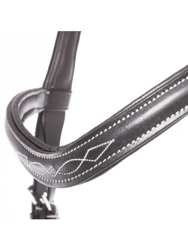 Valjad Diandro Mexican Kavalkade